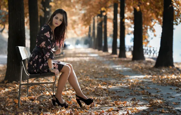 Picture autumn, trees, bench, pose, Park, foliage, legs, alley