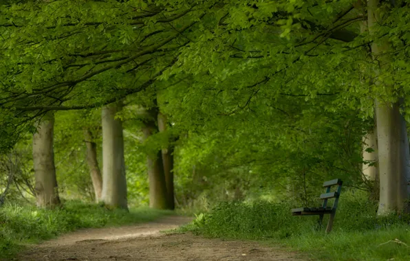 Picture the city, Park, bench