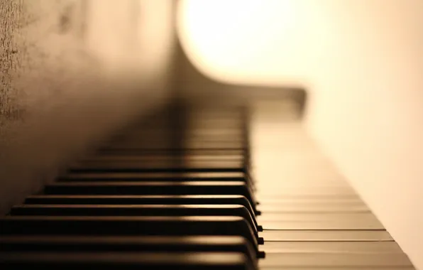 Macro, music, piano