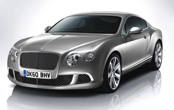Bentley, Continental, Machine, Grille, The hood, Lights, The front