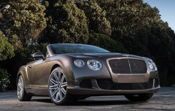 Machine, lights, Bentley, Continental, the front, Speed Convertible