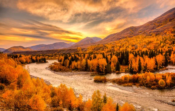 Autumn, forest, the sky, trees, landscape, mountains, clouds, river