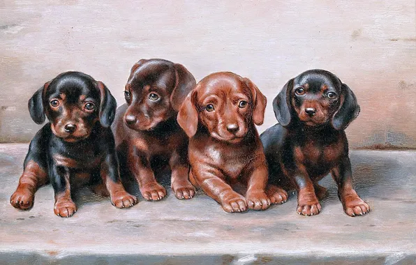 Puppies, Picture, Dogs, Kids, Four, Carl Reichert, Carl Reichert, Austrian artist