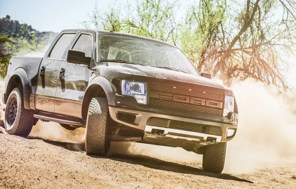 Picture Ford, skid, Raptor, pickup, F-150, Charles Siritho