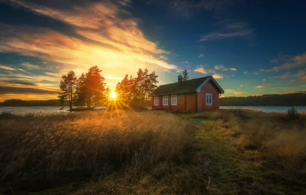 Picture trees, morning, Norway, house