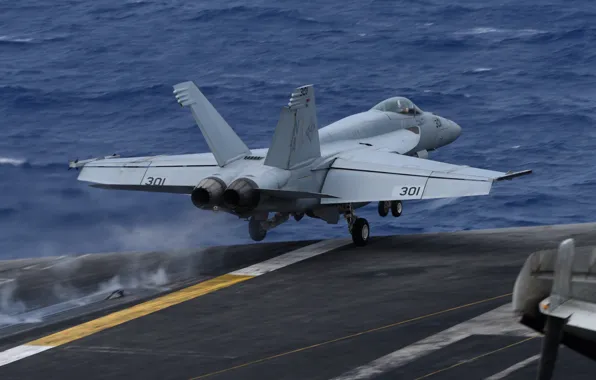The rise, Super Hornet, FA-18E, F A-18E Super Hornet