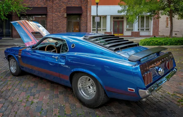 Picture blue, style, Mustang, Ford