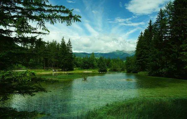 Greens, forest, grass, trees, mountains, lake, Italy, Toblach Lake