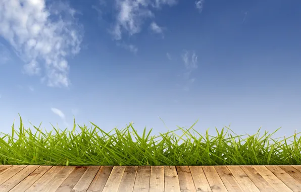 Picture summer, the sky, grass, clouds, tree, the platform