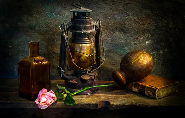 Rose, lamp, dust, book, Love-lorn