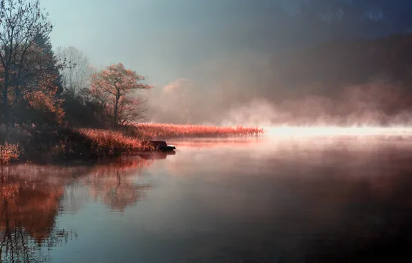 Picture autumn, nature, fog, lake, river, shore, morning, couples