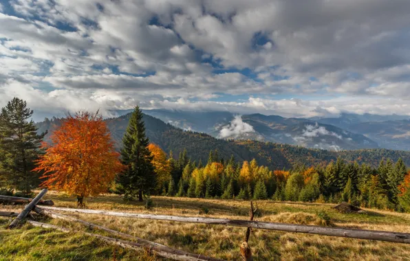 Autumn, trees, landscape, mountains, nature