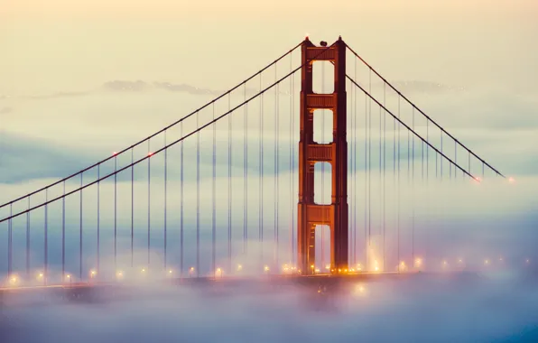 Picture lights, fog, San Francisco