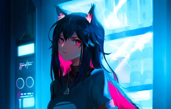 Look, anime, brunette, ears, anime, brunette, look, anime girls