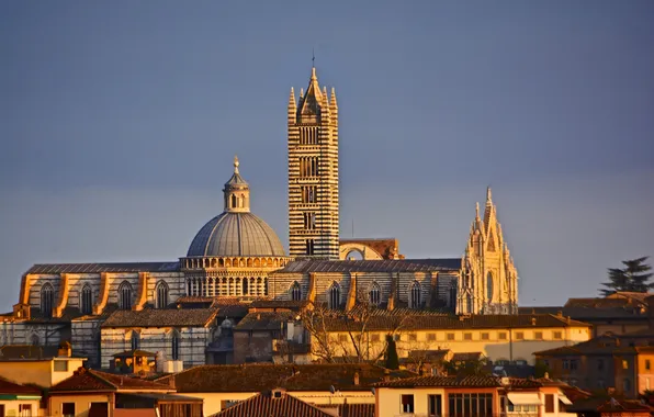 The sky, tower, home, Italy, Cathedral, the dome, Tuscany, Siena