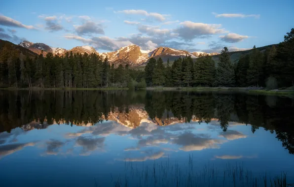 Forest, mountains, lake, reflection, Colorado, Rocky Mountain National Park, Sprague Lake