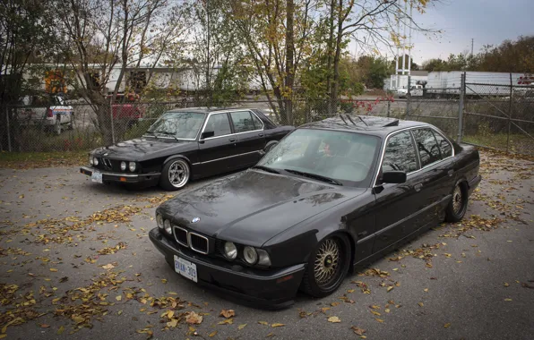 Autumn, leaves, tuning, BMW, BMW, drives, classic, tuning