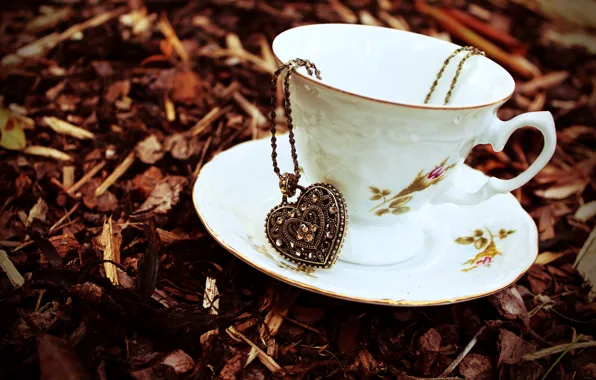 Picture autumn, leaves, stones, heart, dry, Cup, pendant, chain