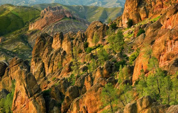 Picture trees, mountains, nature, rocks, USA