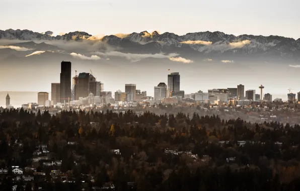 The city, fog, Seattle