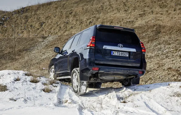 Snow, hill, SUV, Toyota, 4x4, Land Cruiser, feed, the five-door