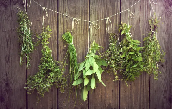 Picture greens, grass, thread, hang, bundles