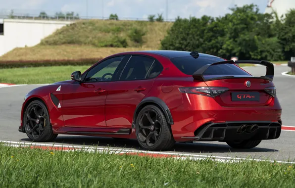 Grass, lawn, Alfa Romeo, Giulia, GTAm, 2020, Gran Turismo Alleggerita changed