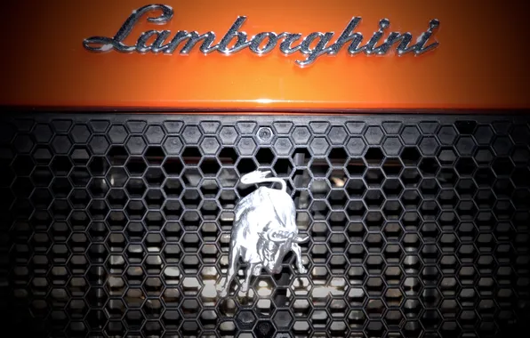 The inscription, Lamborghini, grille, emblem, bull, Lamborghini, oranzhevy