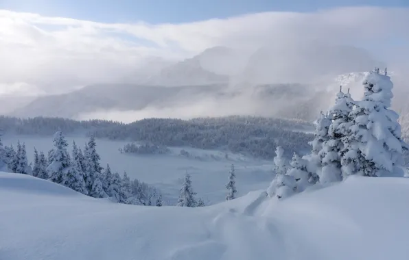 Winter, snow, trees, mountains, ate, Canada, the snow, Albert
