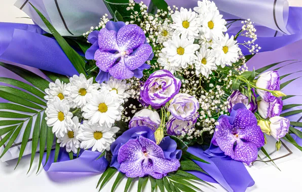 Picture photo, Flowers, Bouquet, Orchids, Chrysanthemum, Eustoma