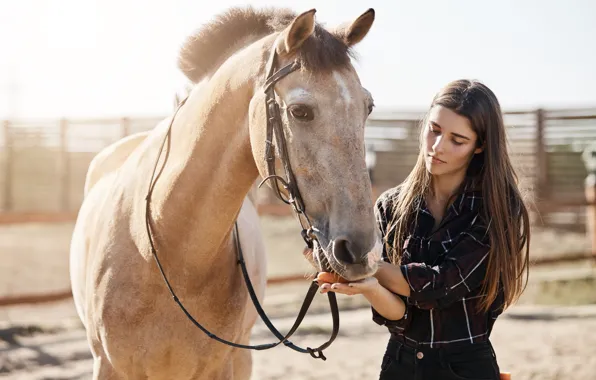 Look, girl, light, pose, horse, horse, the fence, shirt