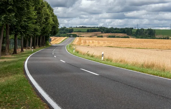 Road, summer, nature
