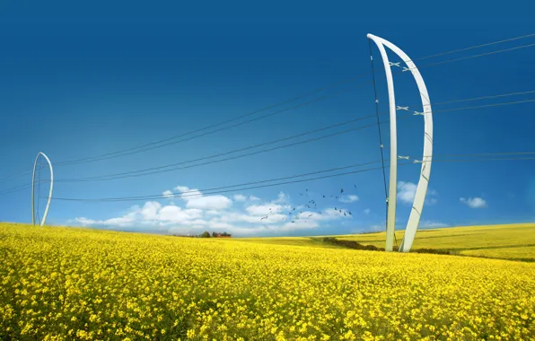 Field, Future, Energy, Power lines, Energy