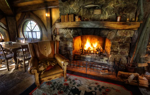 Cat, table, chair, window, fireplace, living room