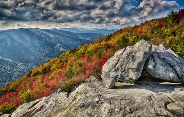 Picture autumn, forest, the sky, mountains, clouds, stones, rocks, slope