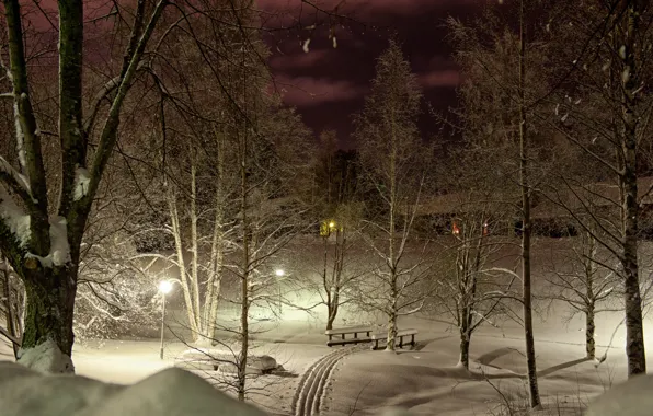 Winter, light, snow, trees, night, lights, Park, trails