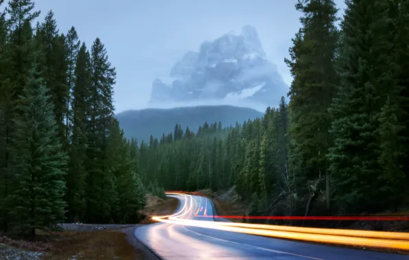 Road, forest, light, mountains, nature, lights, fog, excerpt