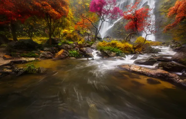 Picture autumn, forest, trees, rock, river, stones, waterfall