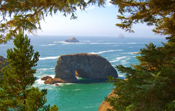 Wave, trees, rocks, shore, USA, Pacific coast, Oregon
