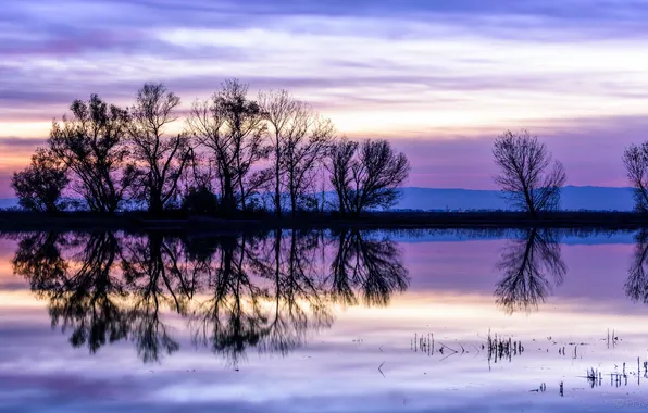 Picture the sky, clouds, trees, sunset, reflection, river, the evening, CA