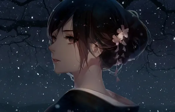 Hairstyle, geisha, kimono, flower in hair, bangs, portrait of a girl, sideways, starry night sky