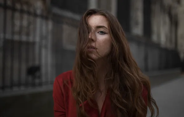 Picture look, girl, face, portrait, freckles, light, brown hair, beauty