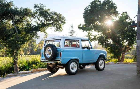 Picture Ford, 1974, Bronco, Ford Bronco