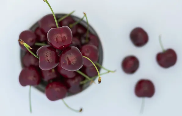 Macro, berries, cherry, cherry