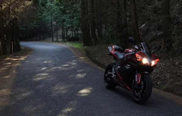 Picture road, forest, red, motorcycle, red, yamaha, bike, Yamaha