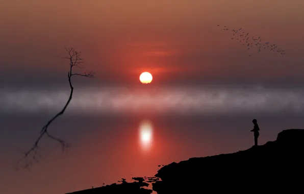 Picture sunset, fog, silhouette