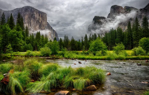 Landscape, Merced River, Yosemite Nationa Park
