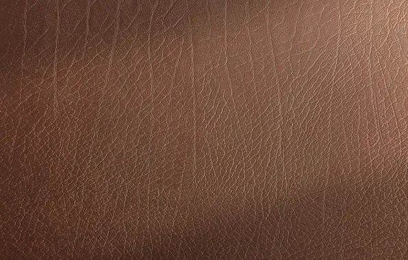 Surface, texture, leather, brown, relief, texture, brown, leather