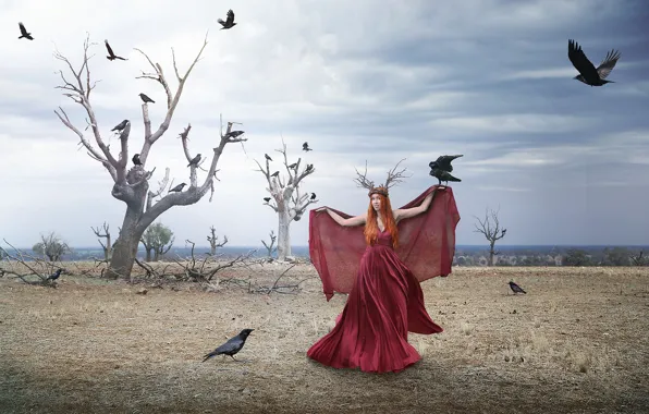 Field, girl, birds, dress, crows, Tracy Lundgren