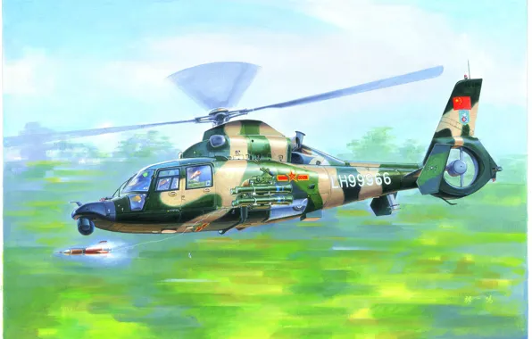 Picture the upgraded version, Z-9WA, ATGM HJ-8E, shock modification, Harbin, Chinese multipurpose helicopter